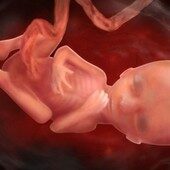 13 weeks pregnant