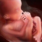 18 weeks pregnant