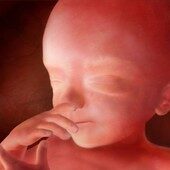 20 weeks pregnant