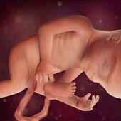 24 weeks pregnant