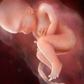 28 weeks pregnant