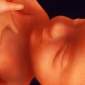29 weeks pregnant