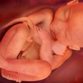 36 weeks pregnant