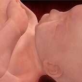 38 weeks pregnant