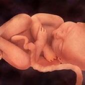 39 weeks pregnant
