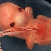 9 weeks pregnant